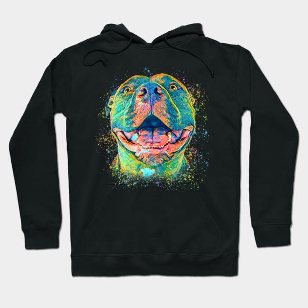 Colorful pitbull Hoodie by PrettyPittieShop